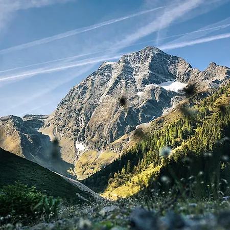 Готель Cappella Natura Vitalis 4*