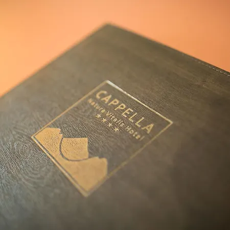 Cappella Natura Vitalis 4* Нойштіфт-ім-Штубайталь